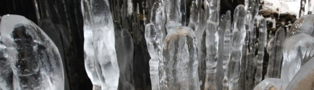 伊達観光物産公社