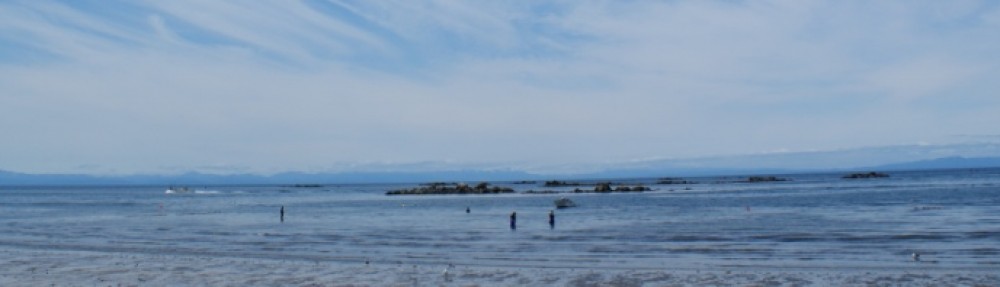 伊達観光物産公社