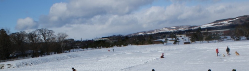 伊達観光物産公社