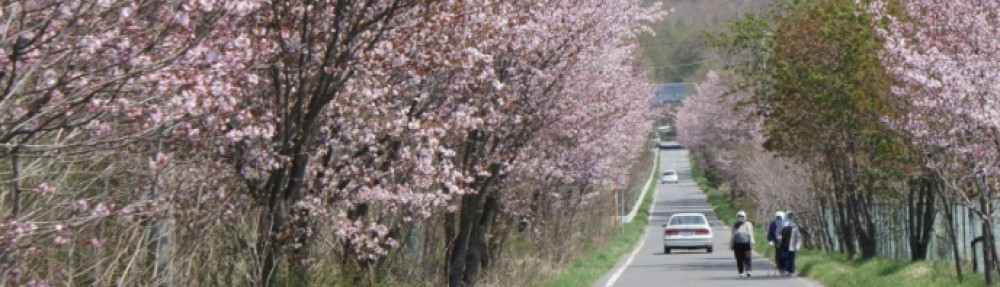 伊達観光物産公社