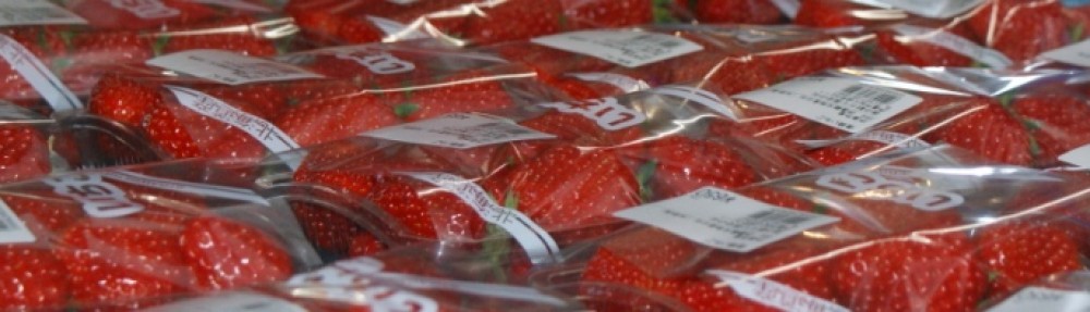 伊達観光物産公社